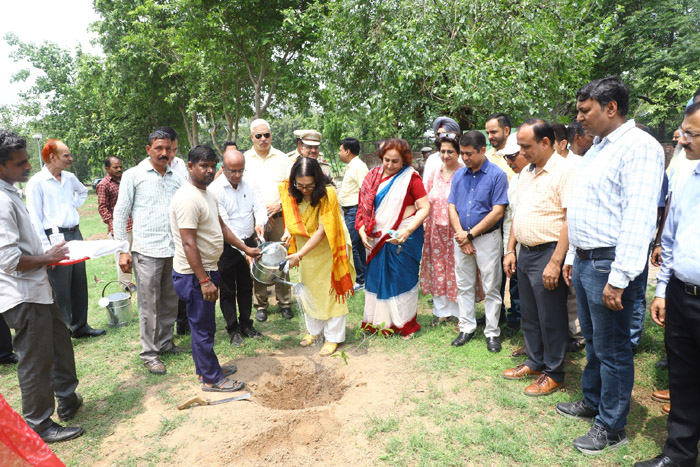 पंजाब विश्वविद्यालय के बागवानी विभाग ने आज वन महोत्सव के अवसर पर पौधारोपण अभियान का आयोजन किया